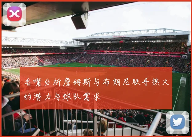 名嘴分析詹姆斯与布朗尼联手热火的潜力与球队需求